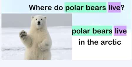 Where do polar bears live ?
